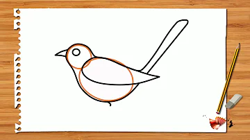 How to draw magpie step by step_Easy drawing_Drawing for kids_Animation