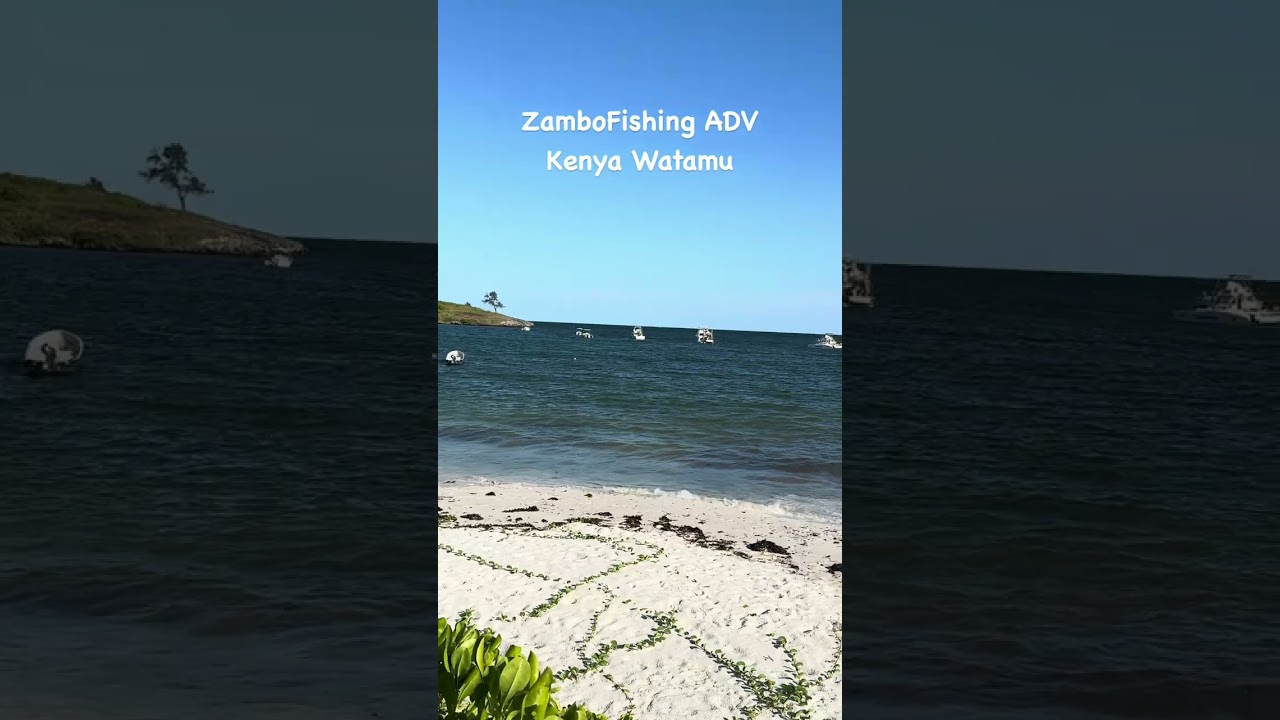 ZFA Zambofishing Adventure #bluefintuna #blackmarlin #kenya #watamu #fishing #fishingadventure