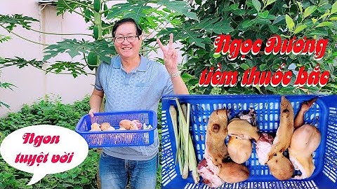 Ngọc dương tiềm thuốc bắc,thơm ngon bổ