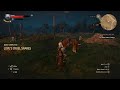 The Witcher 3: Velen unknown location #abhr84