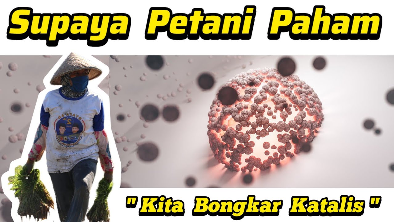 ⛔ 70% Petani Belum Paham KATALIS ⛔ Ayo.Kita Bongkar Apa Itu Katalis Pupuk Organik Yang Sesungguhnya💥