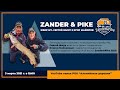 Эфир Zander&Pike №1. Сергей Жмур и Егор Майоров