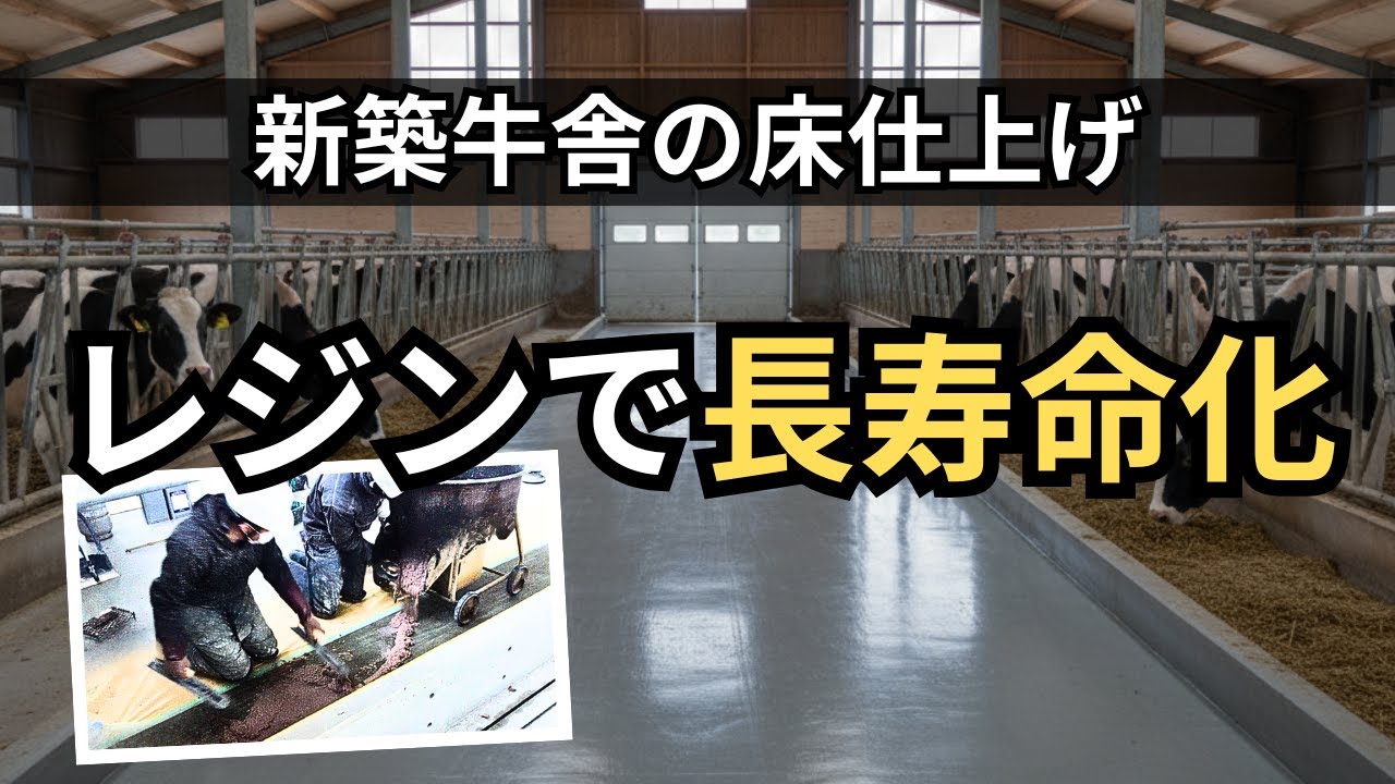 【科学×建築】酸でボロボロの牛舎を救う!? プロが教える「レジンコンクリート」の真実！
