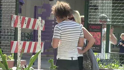 Actually Picking Up A Cougar!