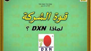 قوة شركة DXN ولماذا يختارها الناس من دون الاف الشركات