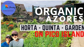 LIVE AN ORGANIC LIFESTYLE IN THE AZORES- We visit a Pico Island small quinta - Portugal - Ep 46