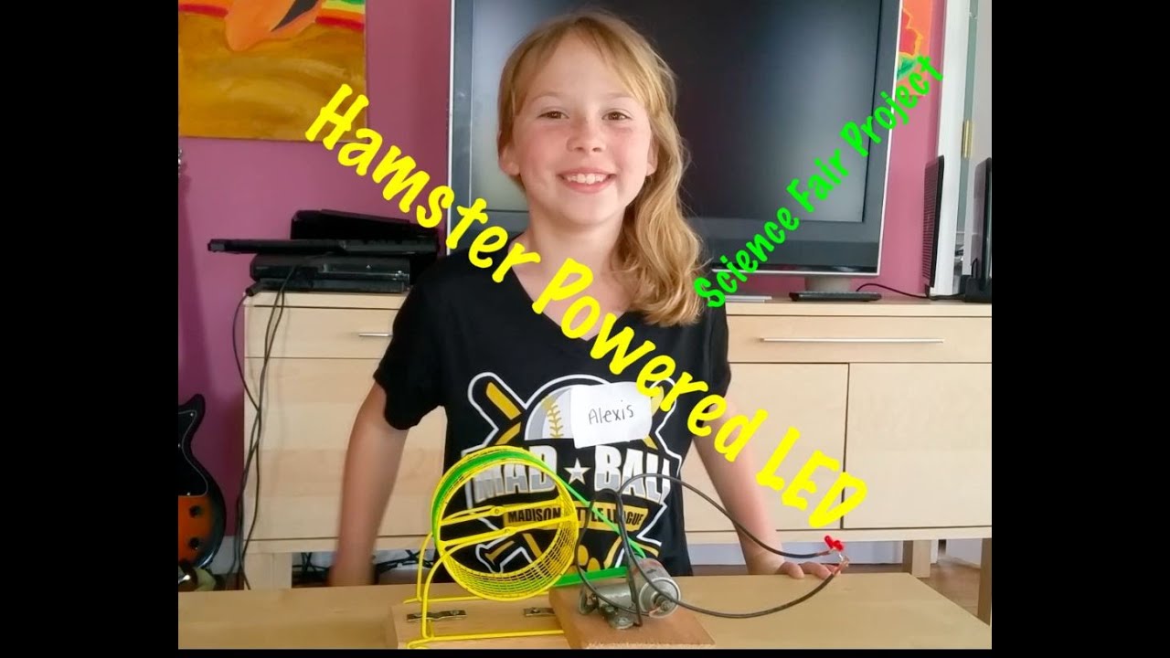 DIY Hamster Powered Generator LED Light Science Fair Project YouTube