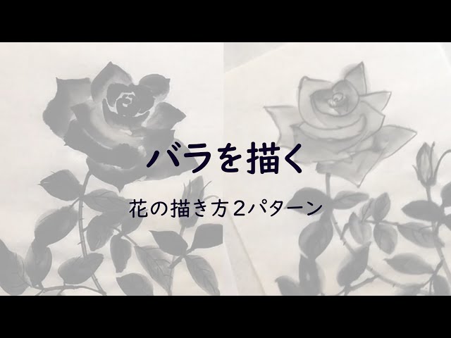 日高絹紅の水墨画【バラ】2つの描き方で｜How to draw rose in
