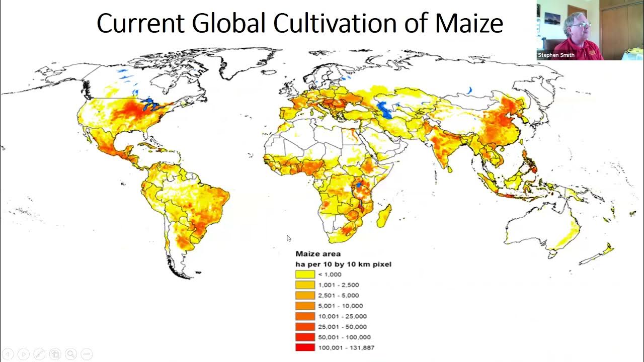 Stephen Smith Estimating the Global Usage of Corn Belt Dent Germplasm