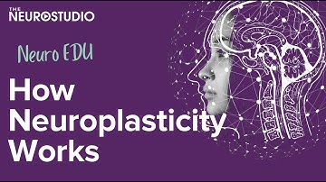 Neuroplasticity