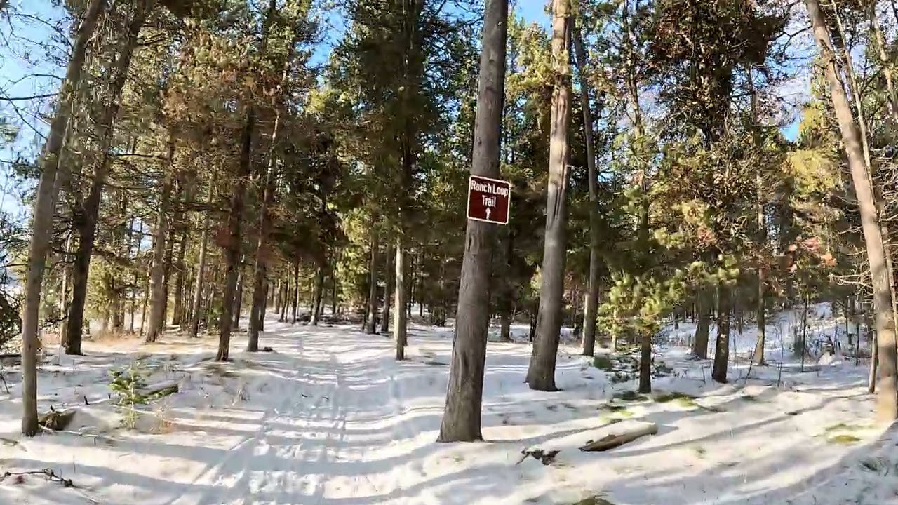 Treadmill Hike: Forest Snow, Lake, River: Harriman State Park, Idaho