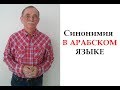 Синонимия в арабском языке