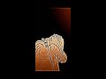 Cheb Lotfi Rani Madror Mn Dakhel Avec 𝙫𝙞𝙙𝙚𝙤 𝙘𝙡𝙞𝙥 Rchok Flash Warning Fly 