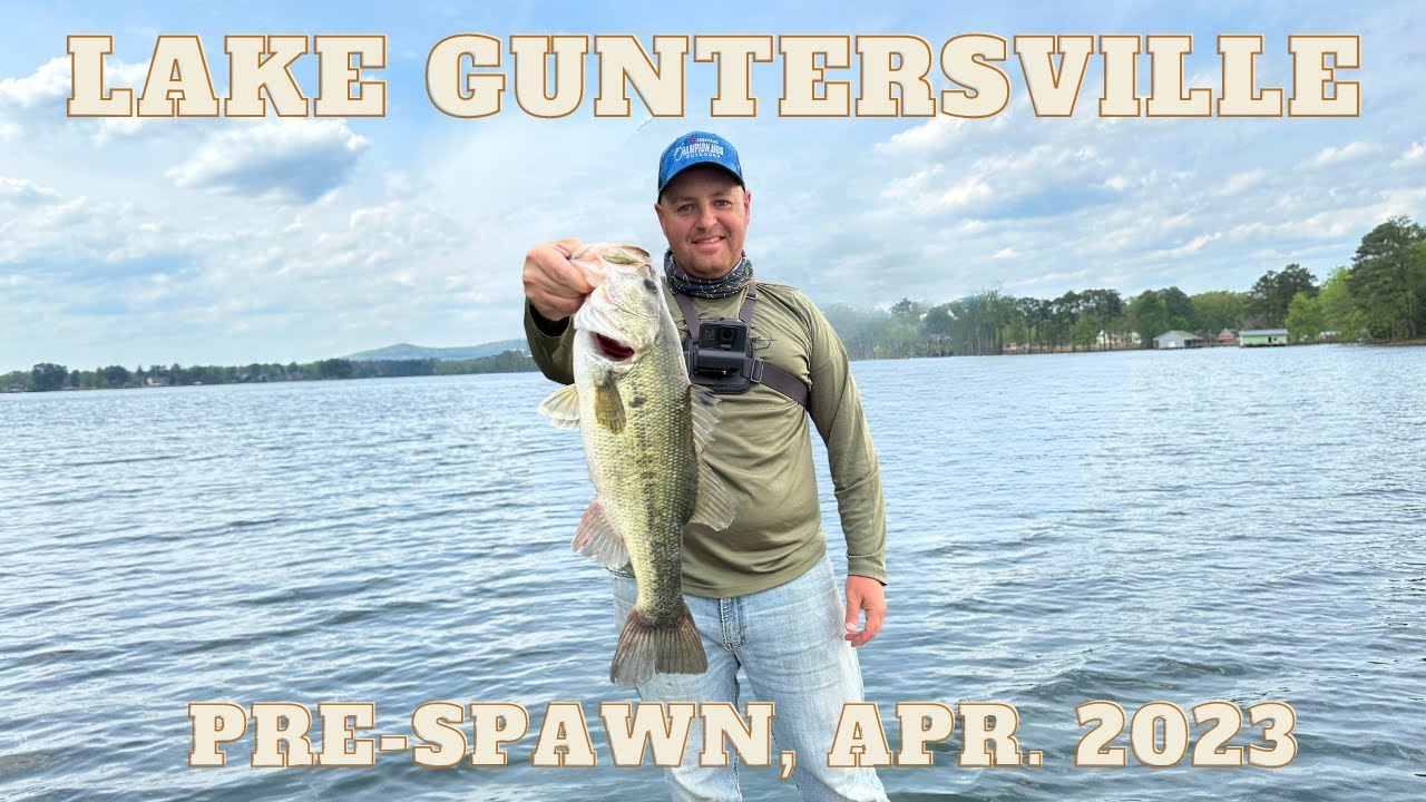 Lake Guntersville Main Lake Bass Fishing: Senkos and Jerkbaits (Day 4)
