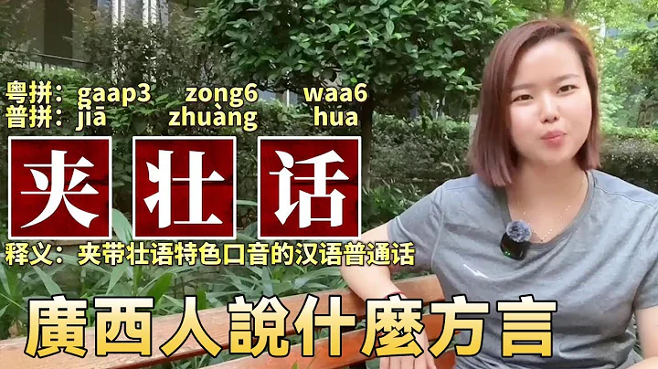 What languages and dialects are spoken in Guangxi? Can you understand Cantonese, vernacular, Zhuang - 天天要聞