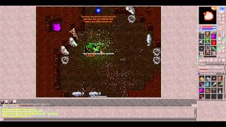 Tibia The hide boss das tarantulas