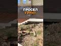 Вот что бывает, если поторопиться с отмосткой 👇