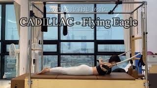 캐딜락 Flying Eagle