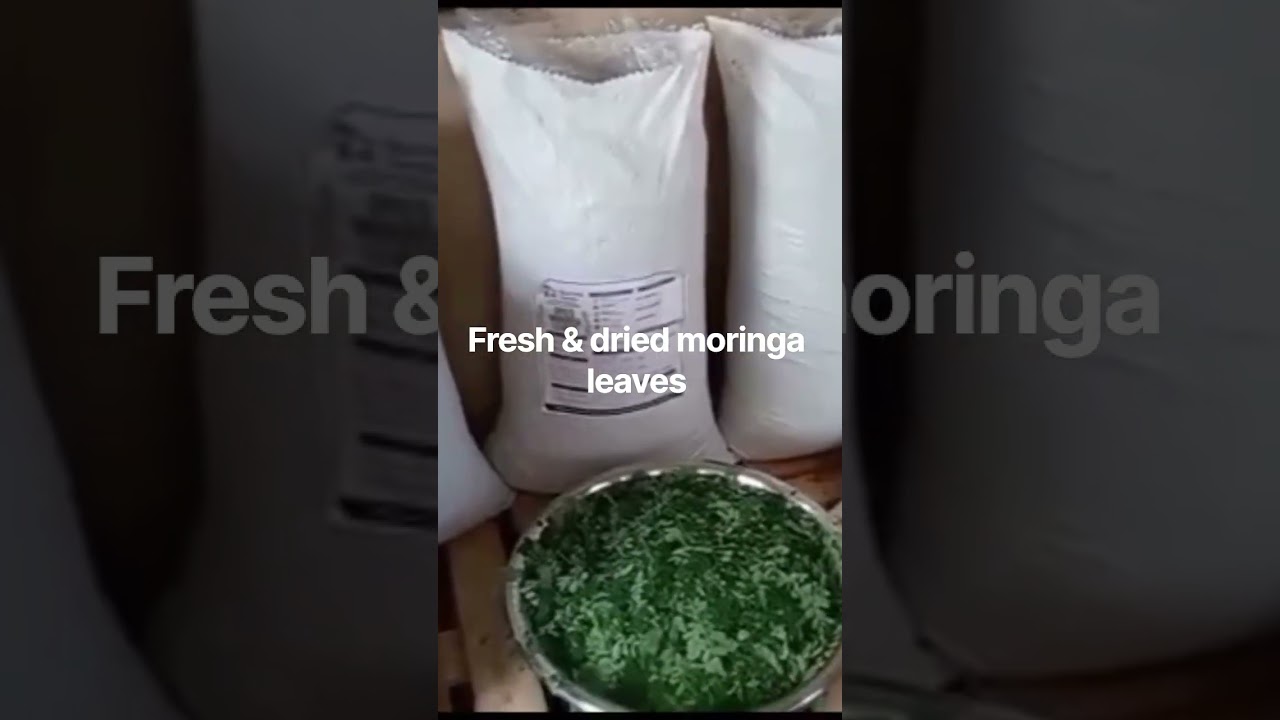 1kg Moringa Leaves/Bulk Orders Available on Request