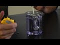 Photosynthesis and Gas Exchange Concepts