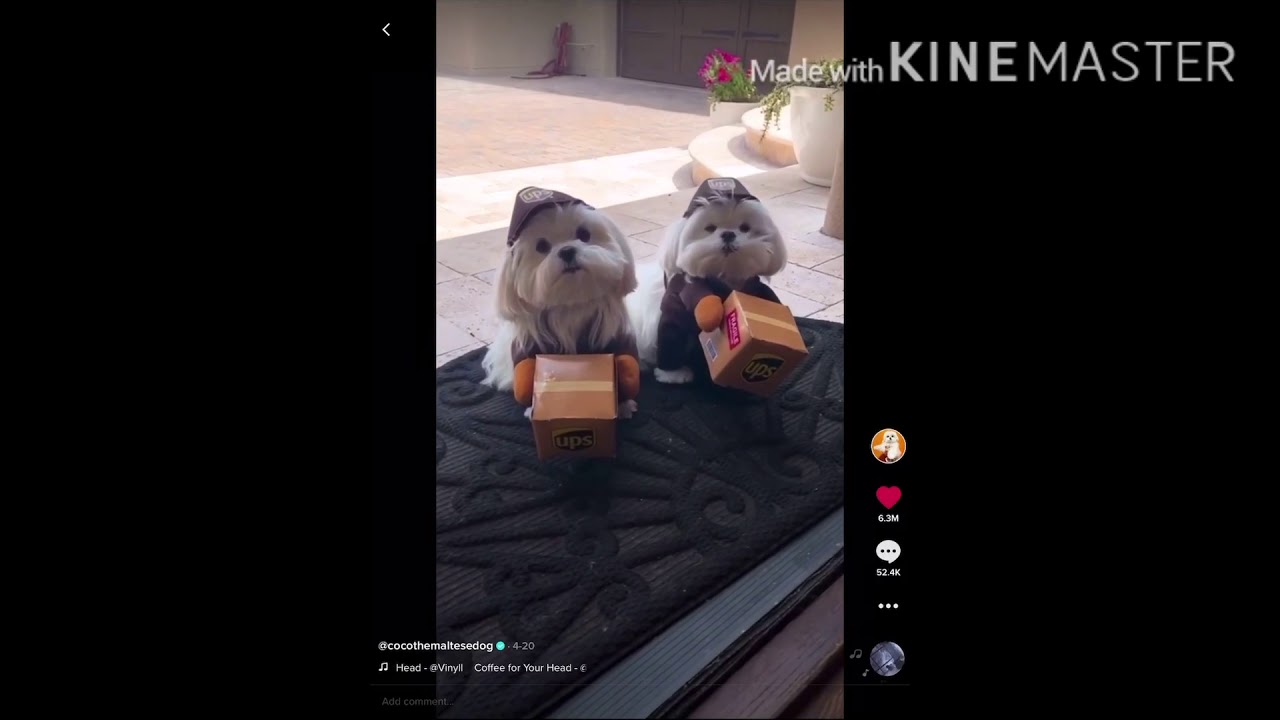 I’ll make a cup of coffee for you head YouTube