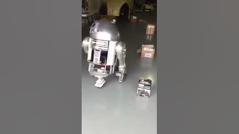 R2D2 Shadow system
