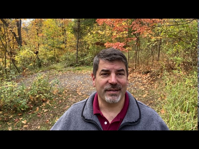 Reflections Isaiah 5:1-7