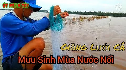 Giăng Lưới Cá Mưu Sinh Mùa Nước Nổi/ Út Miền Tây