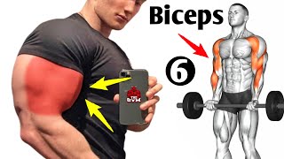 6 Killer Biceps Exercises - Biceps Workout