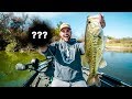 this Lure is the JUICE!! - BIG SPRING BASS FISHING