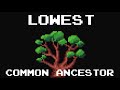 Lowest Common Ancestor of a Binary Search Tree - LeetCode 235 | JAVA