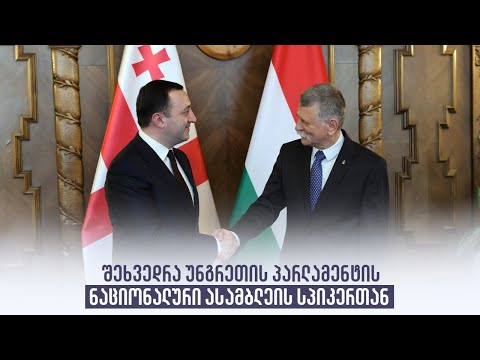 შეხვედრა უნგრეთის პარლამენტის ნაციონალური ასამბლეის სპიკერთან