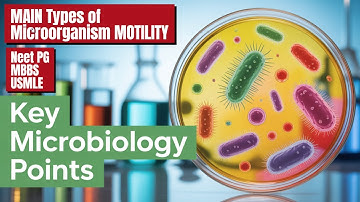 What are the MAIN Types of Microorganism MOTILITY?