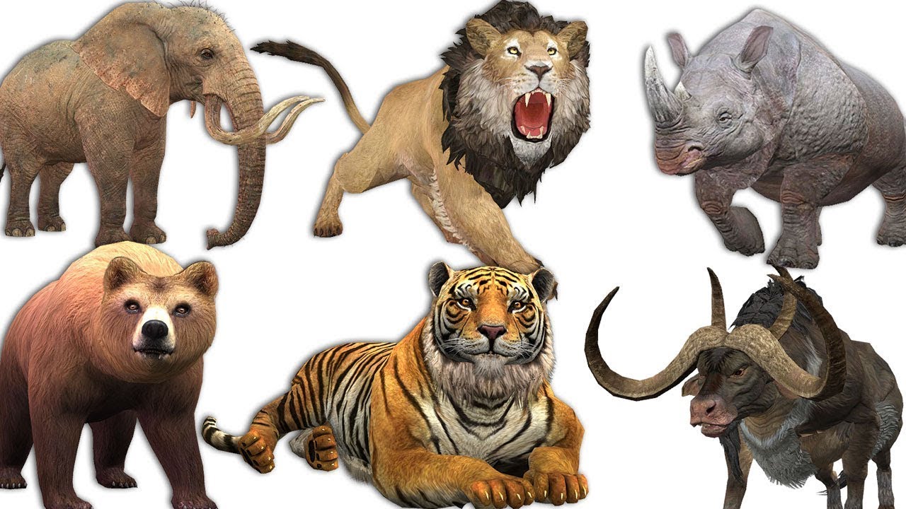 Unduh 44 Gambar Animasi Binatang  Buas Terbaru Gambar Animasi