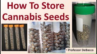 How To Store Cannabis Seeds