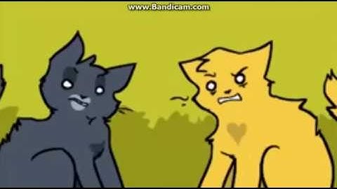 Cloudpaw joins Thunderclan