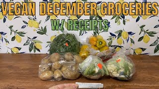 All of the Vegan Groceries we Bought in December SO OVER BUDGET From Holidays and Baking by Jacinia Perez 554 views 3 months ago 30 minutes