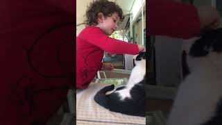 Boy plays with cat
