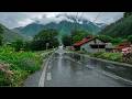Walking Through a Misty Dream: Rainy Day in Nagano, Japan