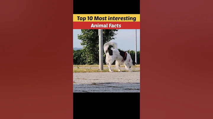 Top 10 most interesting animal facts || amazing facts || interesting facts || #shorts #facts