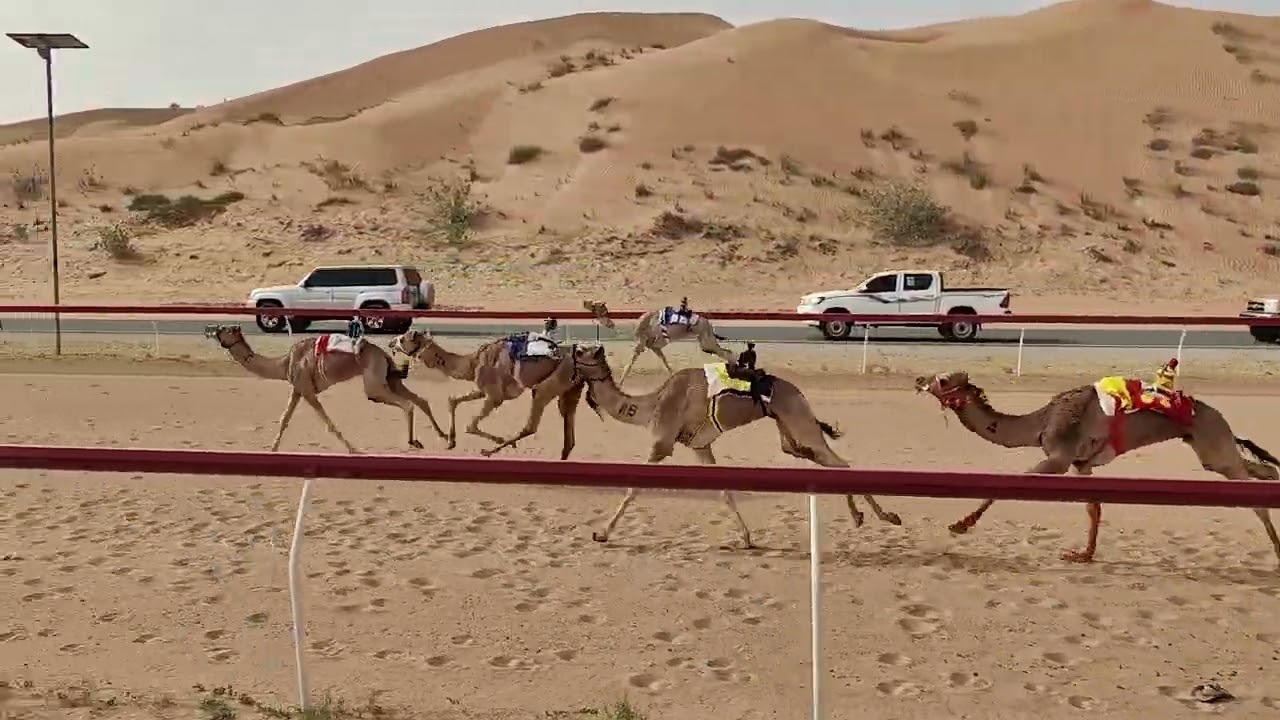 ش11موج - احمد عبد الله حسن احمد المرزوقي 7:50