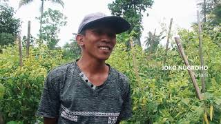 [10 Video Feature Terbaik] KKN 105 UIN Sunan Kalijaga - Kelompok 53 (Mandiri), Kalangan, Magelang