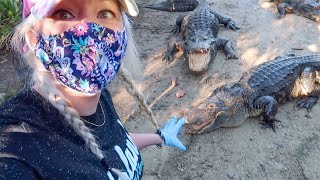 Gatorland Orlando BEHIND THE SCENES! UP CLOSE with Gators Challenge & Halloween Cryptic Train Ride!