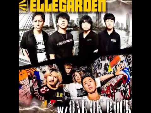ELLEGARDEN 細美武士氏が語る、ONE OK ROCK 森内さんエピソード 森内(｡-人-｡)三昧からの、やつ。