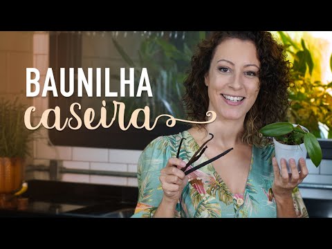 Vídeo: O que é uma fava: dicas para cultivar plantas de fava