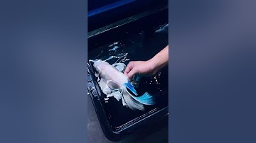 Cách trị mụn đỏ cho cá chép sư tử, phi tần 😁