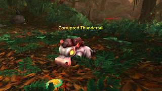 Corrupted Thundertail – How to Beat | Tiny Terrors in Tanaan | Warlords of Draenor World of Warcraft