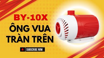 Máy Bơm Bể Cá Cảnh Baoyu BY-10X Series - Ông Vua Của Hệ Thống Lọc Tràn Trên Bể Cá Cảnh