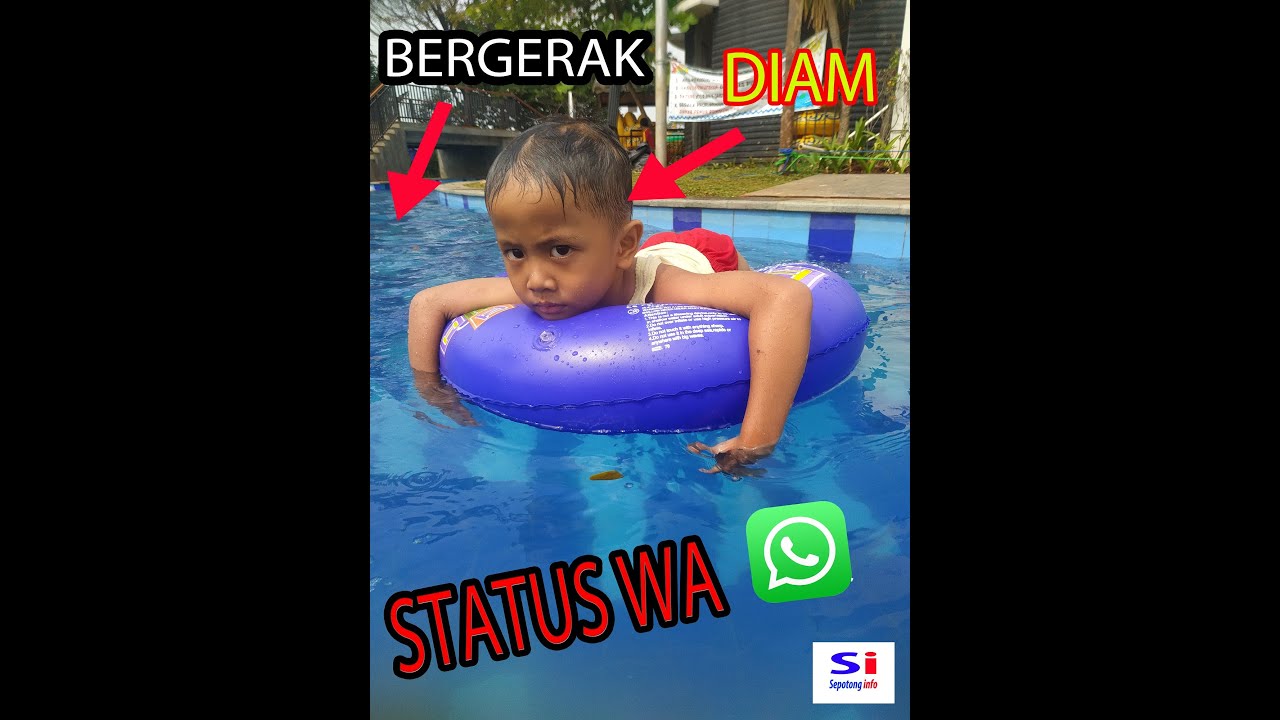  CARA  EDIT FOTO BERGERAK  UNTUK STATUS  WA  YouTube