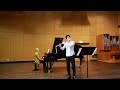 Louis park wa mozart konzert in ddur fr querflte und orchester kv314  1satz allegro